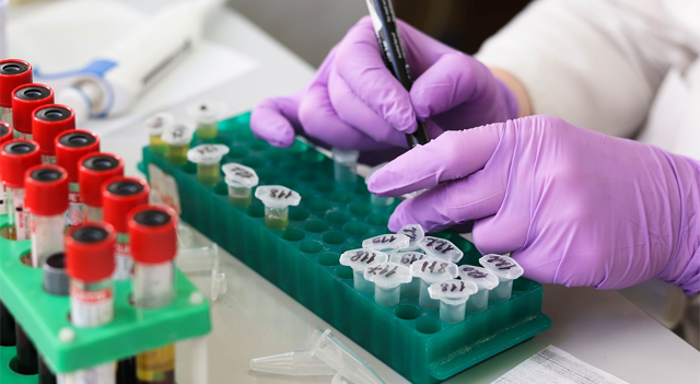 La Alianza OGRD expande las iniciativas OncoVix y PLPC-DB desde Emiratos a Asia y MENA