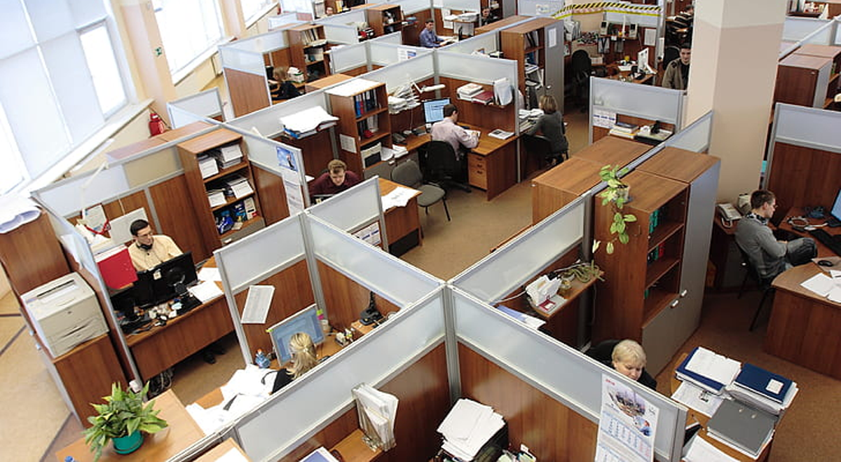 Workers in cubicles in an office