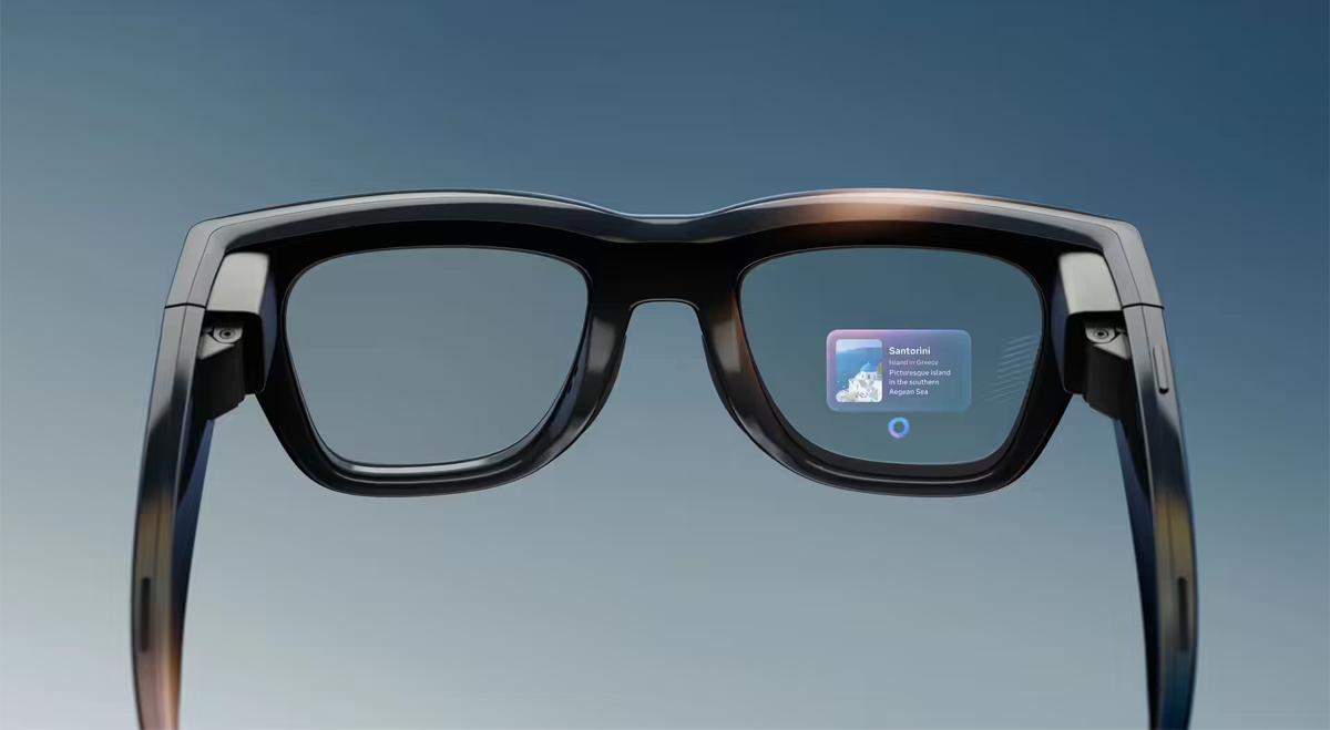 Meta glasses
